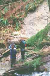 Mapping Erosion on Thain Creek